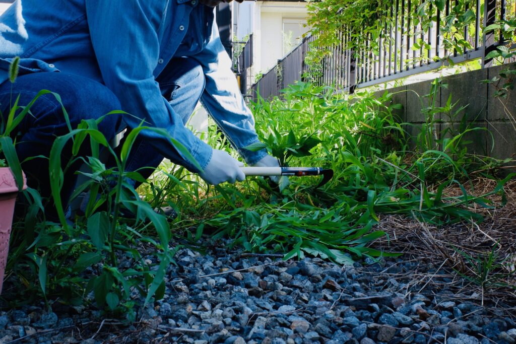 草むしり　草刈り　防草　庭冬じまい　自力草刈り　自力草むしり　草除去　庭冬囲い
